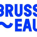 BRUSSEAU_PROJET DE RECHERCHE BRUXELLES SENSIBLE A L'EAU - CO CREATE -INNOVIRIS
